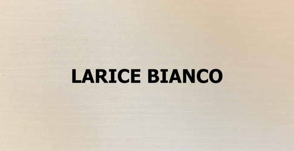 Armadio con ante battenti a prezzo scontato modello Lions linea bk65 di Collezione esclusiva