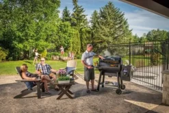 Barbecue modello Barbecue a pellet regal 500 a marchio Broil king in offerta