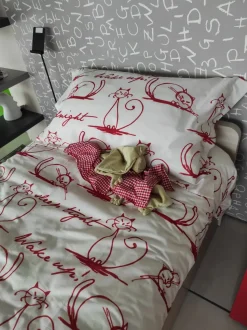 Copripiumini modello Copripiumino cat dell'azienda Flou con forte sconto