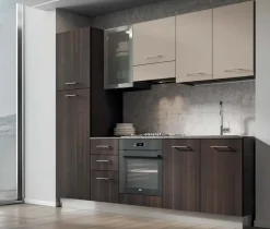 Crea una cucina moderna lineare con Arrex Composizione 255.