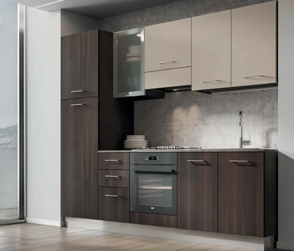 Crea una cucina moderna lineare con Arrex Composizione 255.