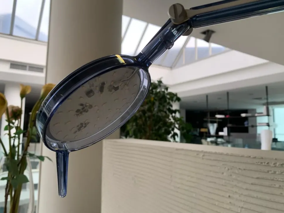 Da tavolo Aledin tec Kartell a prezzo Outlet