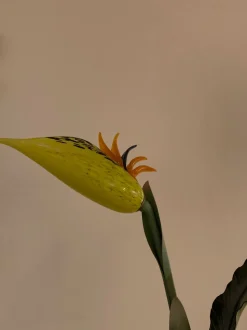 Da tavolo Banci con SCONTO IMPERDIBILE