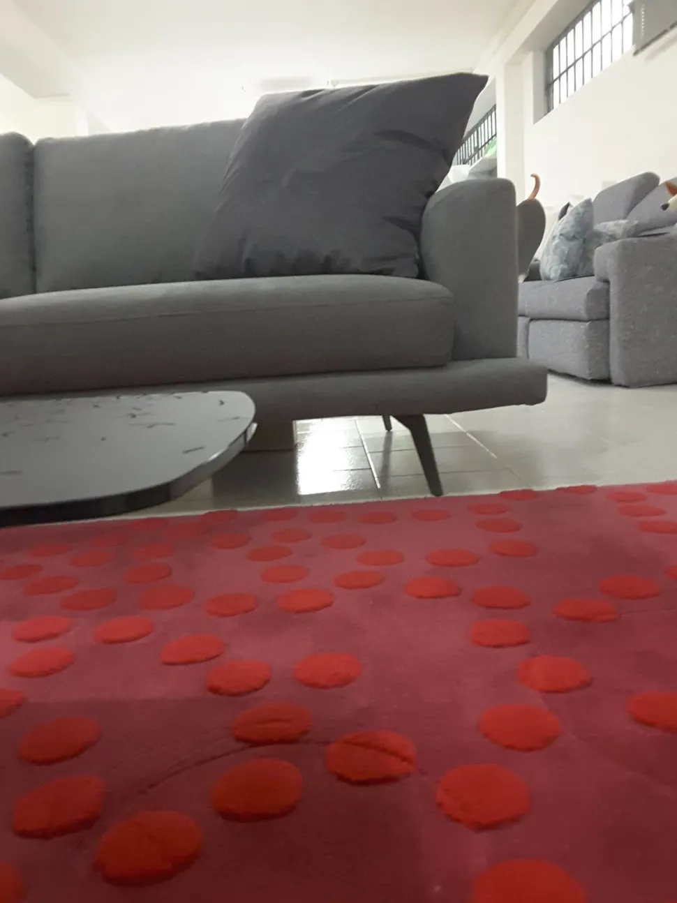 Divano da 5 posti modello Philip.77 di Doimo salotti scontato