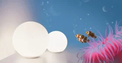 Lampada da tavolo stile Design Dioscuri tavolo 35  Artemide a prezzi outlet