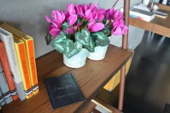 Libreria Easy in stile moderno di Devina nais in OFFERTA OUTLET