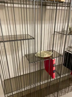 Libreria Mogg metrica a  Mogg in stile design a prezzi convenienti