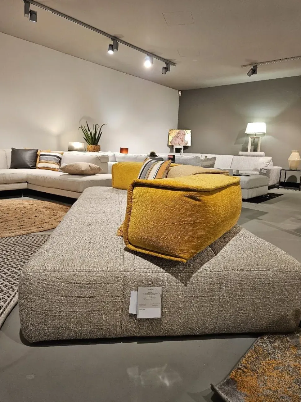 Lineare Moss Divanidea ad un prezzo vantaggioso