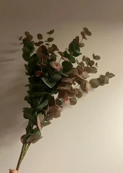 Oggettistica design Eucalipto rami pianta finta di Artigianale scontata del 27%