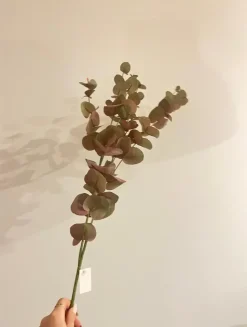 Oggettistica design Eucalipto rami pianta finta di Artigianale scontata del 27%