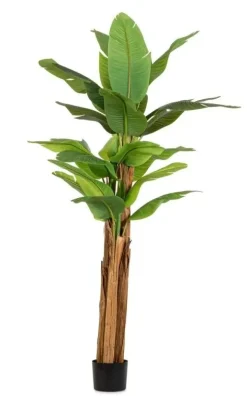 Oggettistica design Pianta banano di Bizzotto scontata del 30%