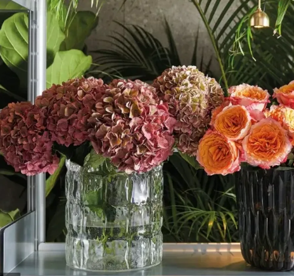 Oggettistica Kartell Matelassè in OFFERTA OUTLET