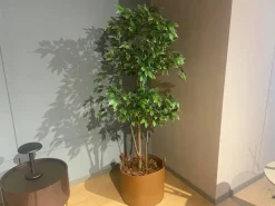 Oggettistica moderna di Poltrona frau con uno SCONTO IMPERDIBILE