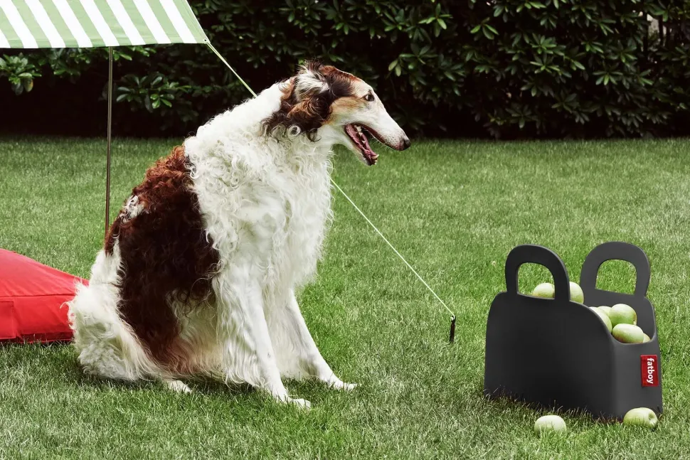 Oggettistica sjopper-kees Fatboy con uno SCONTO IMPERDIBILE approfittane ora!