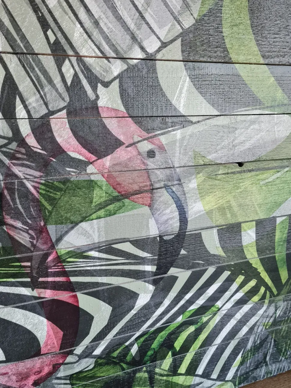 Quadro altre tipologie Toucan Devina nais a prezzo Outlet