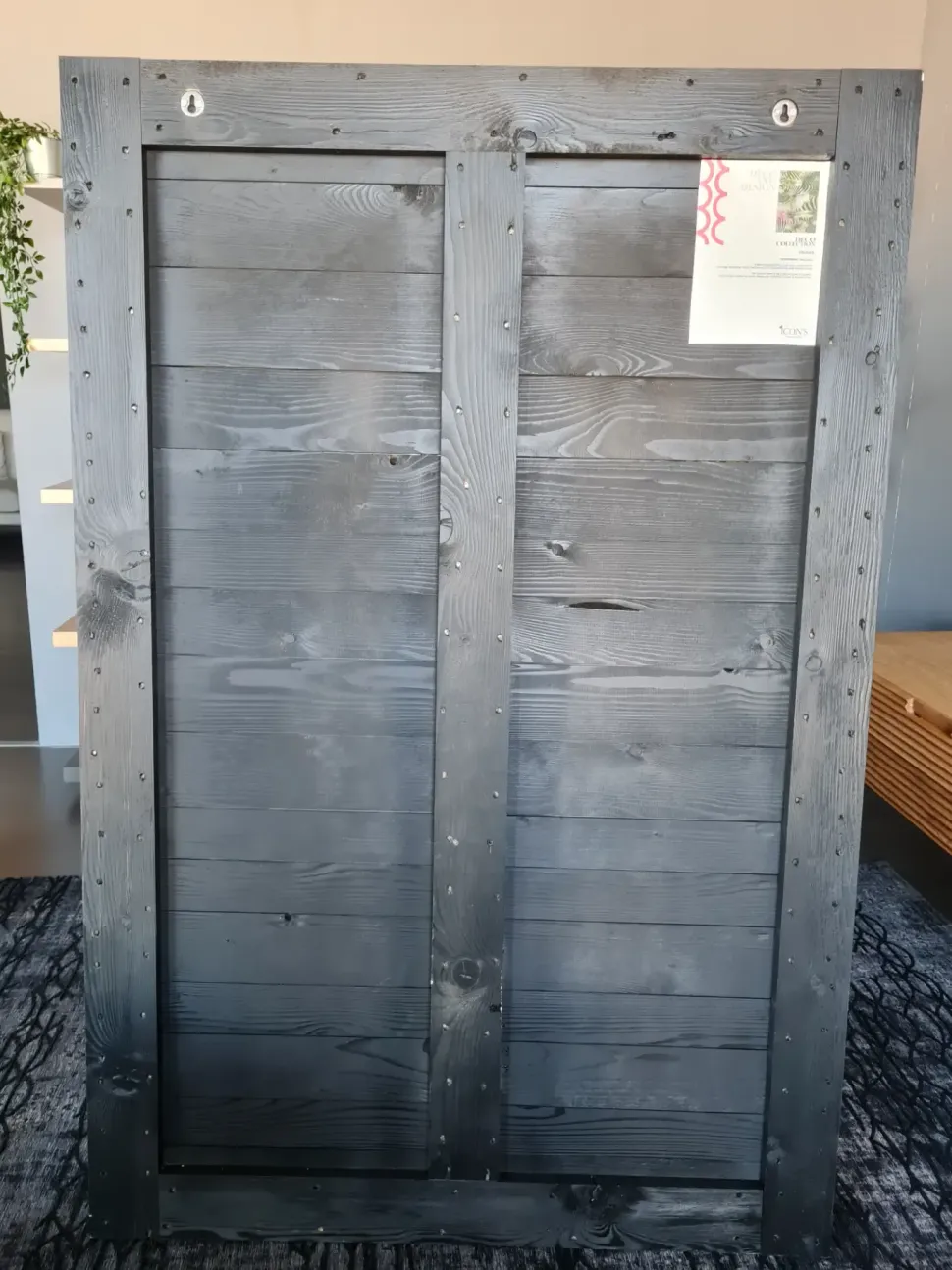 Quadro altre tipologie Toucan Devina nais a prezzo Outlet