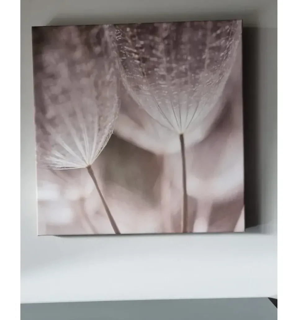 Quadro Quadro canvas Adriani e rossi ad un prezzo vantaggioso