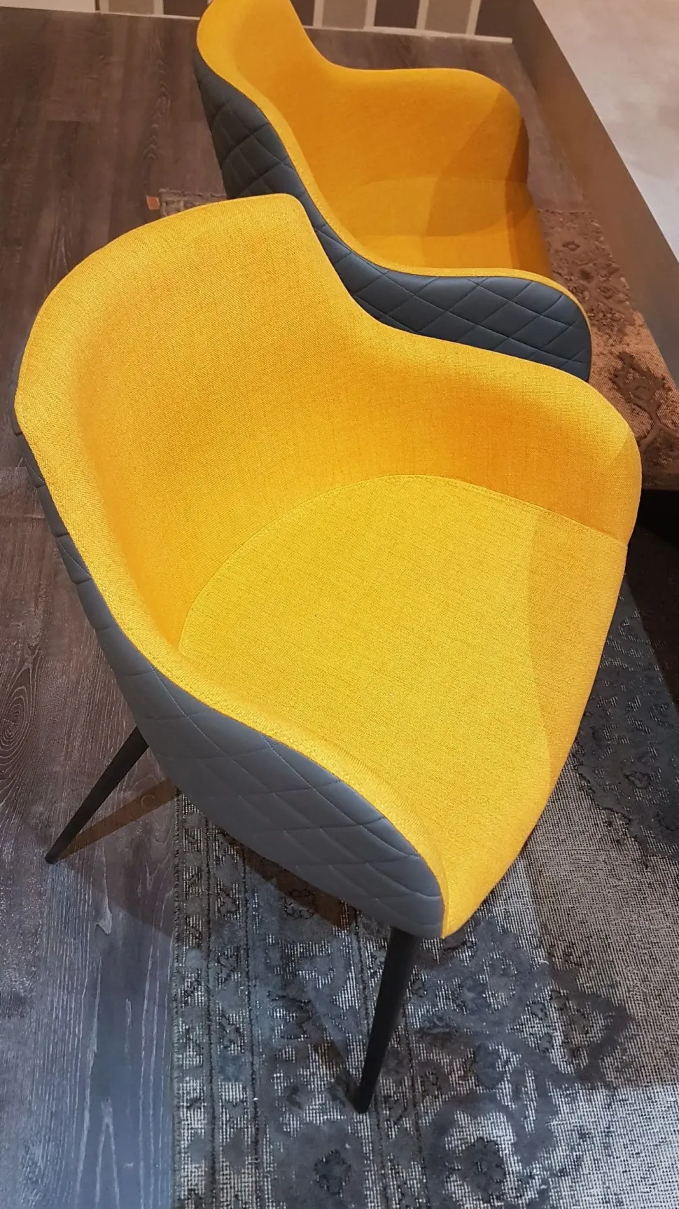 Sedia Duke Zamagna con uno sconto vantaggioso