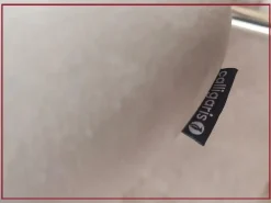 Sedia modello Holly di Calligaris: richiedi il prezzo riservato