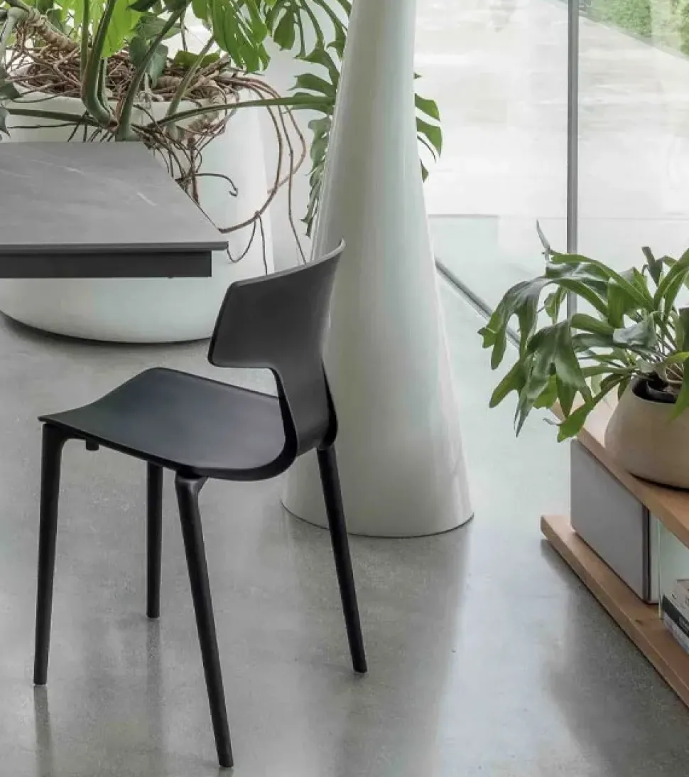 Sedia modello Nala impilabile di Altacom