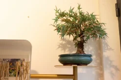 Specchiera Babele di Memedesign a prezzi ribassati