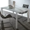 Tavolo in vetro rettangolare Silver 629 * La seggiola in offerta outlet