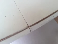 Tavolo ovale allungabile Essenza in legno massello laccato bianco con 4 sedie imbottite