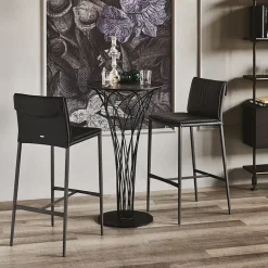 Vendi la Sedia Isabel di Cattelan Italia a prezzo scontato!